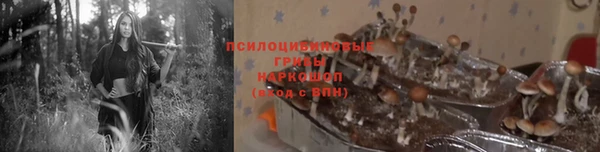 ешки Абдулино