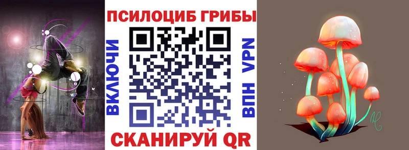 магазин продажи   Чишмы  Псилоцибиновые грибы GOLDEN TEACHER 